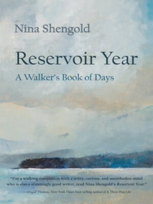 cover image of Reservoir Year